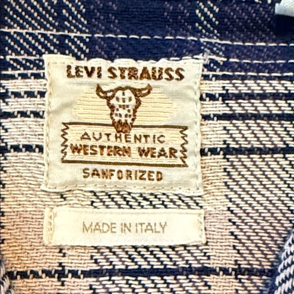Levi's Blue and Purple Plaid Men's Shirt